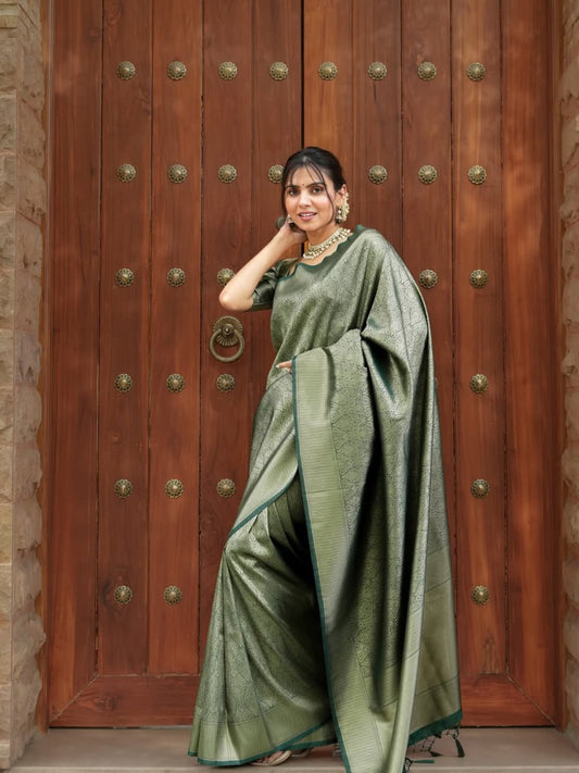 Elegance and Simplicity Banarashi Soft Silk Saree
